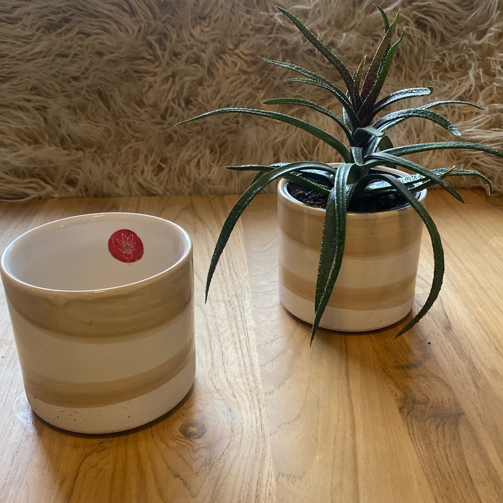 A pair of planters from Michael’s